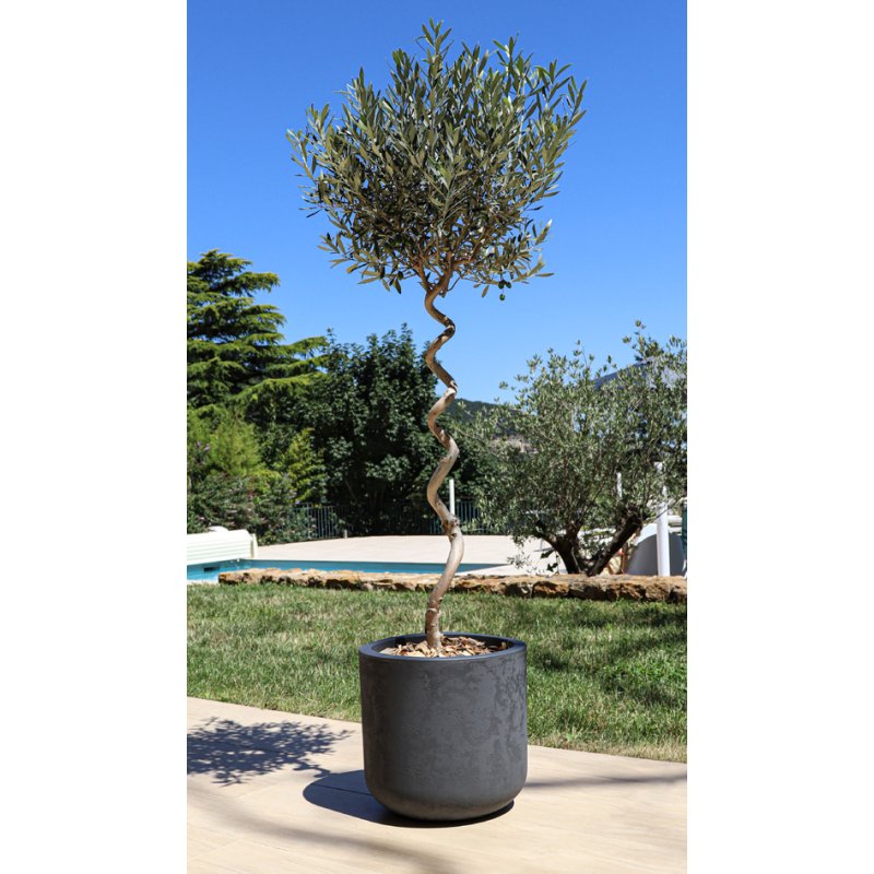 Poétic pot de plante BASAL, plastique aspect béton, 37,5 litres, 385 mm